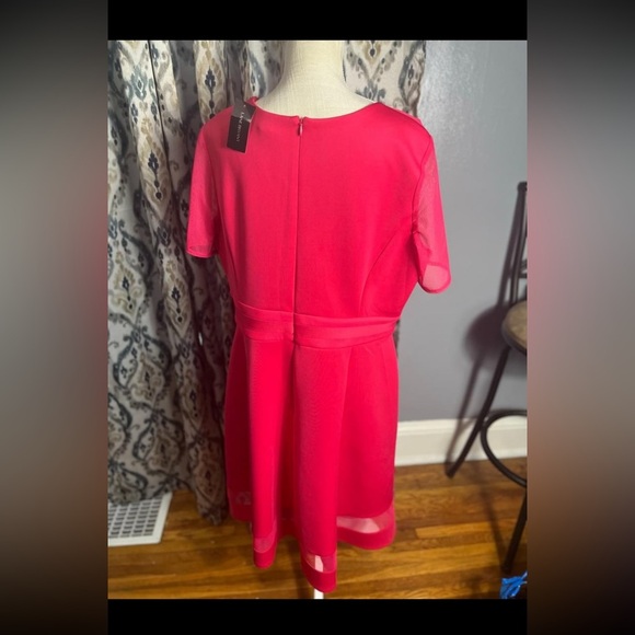 Lane Bryant Hot Pink Dress with Mesh Arms NWT BALLETCORE FEMININE COQUETTE - Picture 4 of 5
